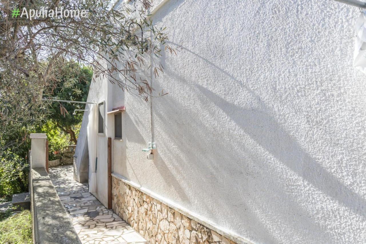 Villetta Camelia, Torre Pali, Con Piscina Exteriör bild